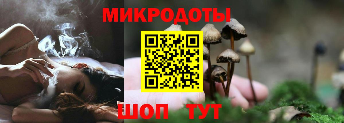 Галлюциногенные грибы MAGIC MUSHROOMS Электрогорск